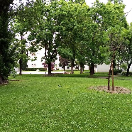 Chambre Double Rosalie En Colocation Монпелие Екстериор снимка